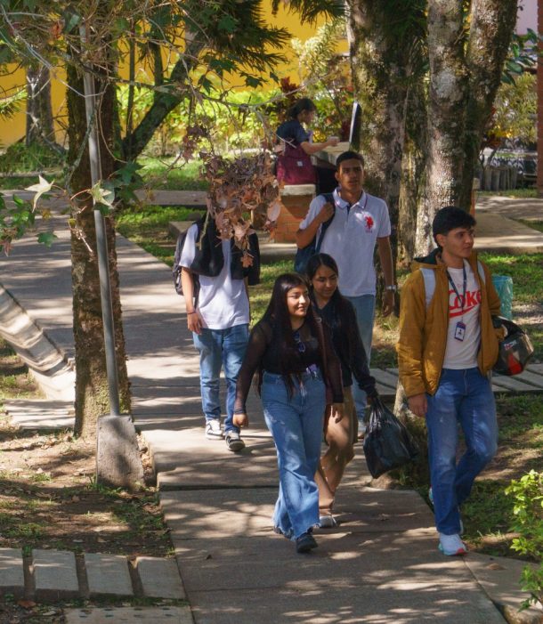 Licenciatura en Educación Básica Primaria