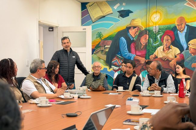 Imagen de Arrullos del Pacífico